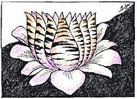 Hindutva